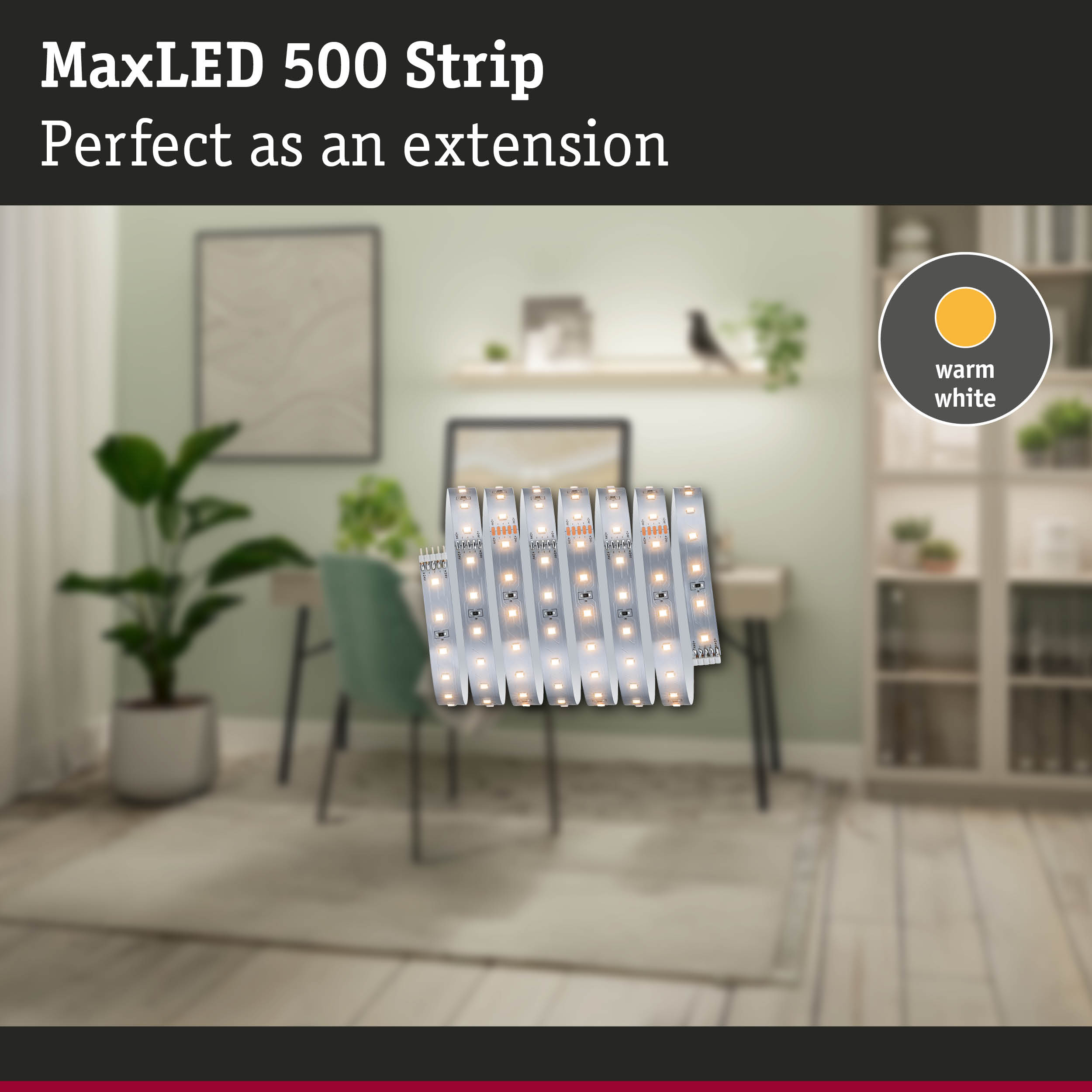 Ein aufgerollter LED-Streifen mit warmweißem Licht vor dem unscharfen Hintergrund eines Zimmers.