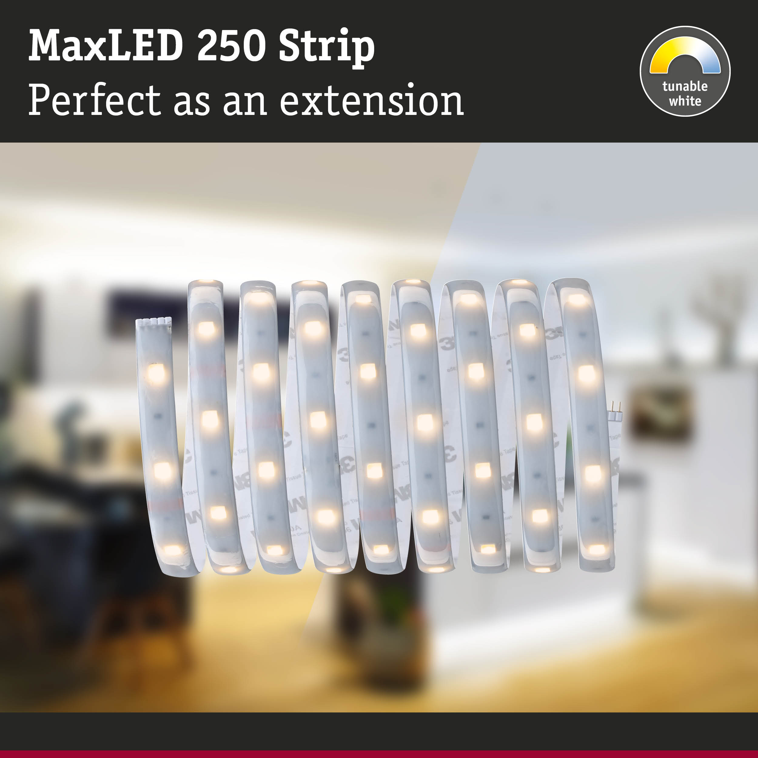 Ein MaxLED 250 Streifen mit dimmbaren, warm- und kaltweißen LEDs vor einem verschwommenen Hintergrund.