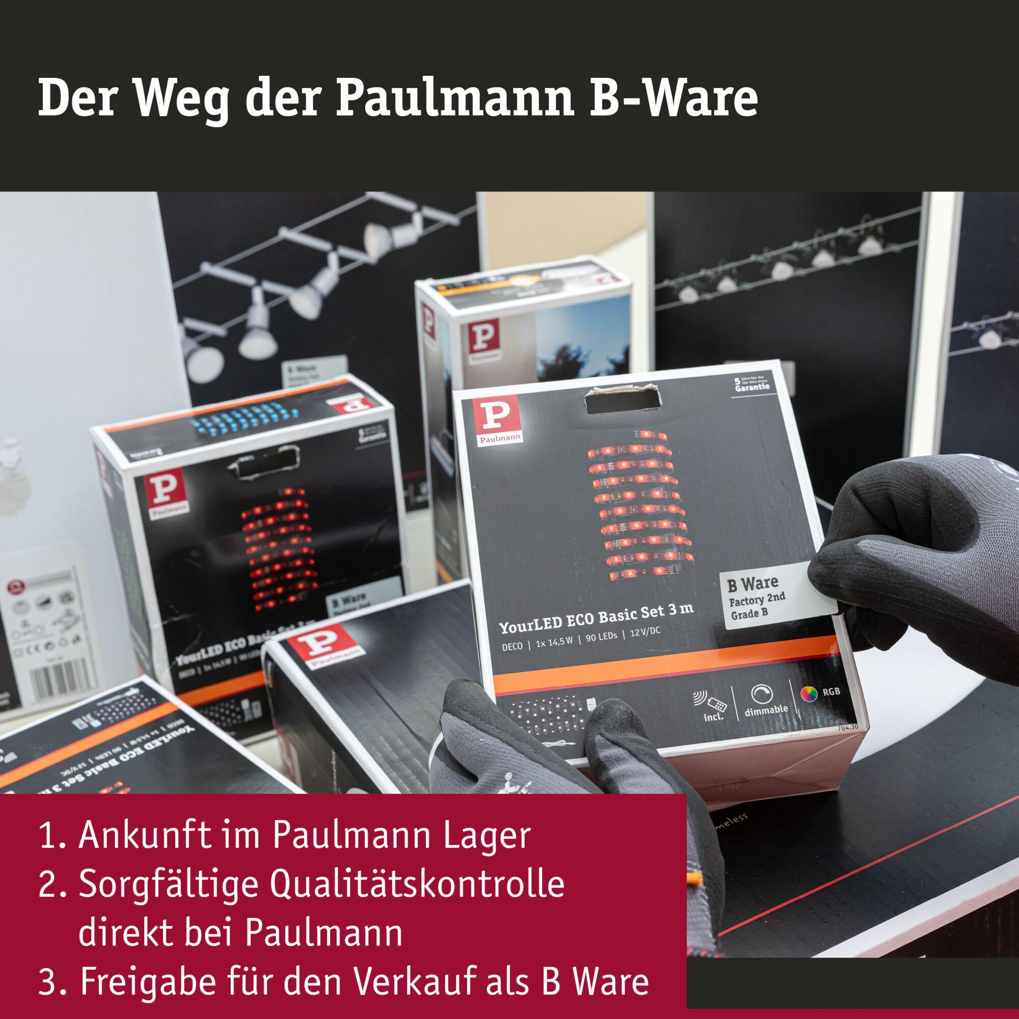 Gezähnte Hände halten Paulmann B-Ware LED-Streifen-Verpackungen im Lager.