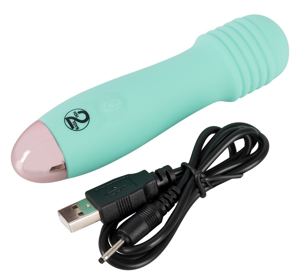 Ein mintgrünes und rosafarbenes Sexspielzeug mit USB-Ladekabel auf weißem Hintergrund.