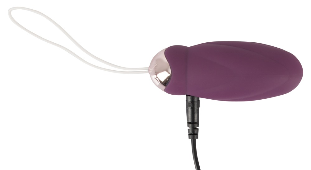 Ein lila Ei-Vibrator mit roségoldenem Akzent, einer weißen Schlaufe und einem schwarzen Ladekabel auf weißem Hintergrund.