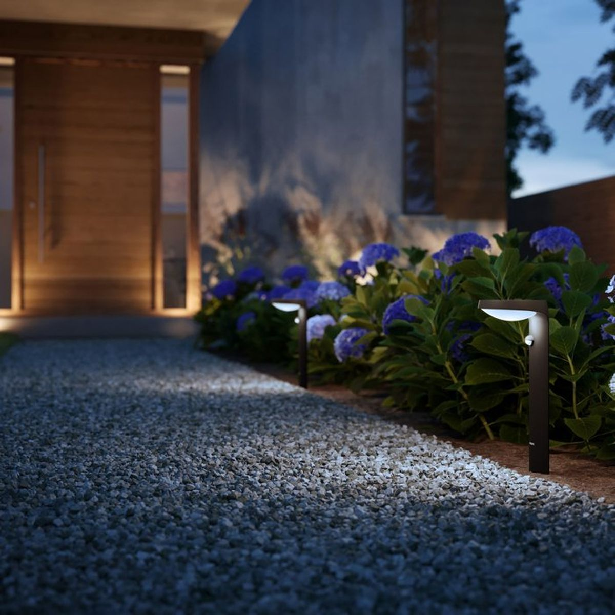 Moderne luci da giardino illuminano un sentiero di ghiaia davanti a una casa, vicino a ortensie blu.