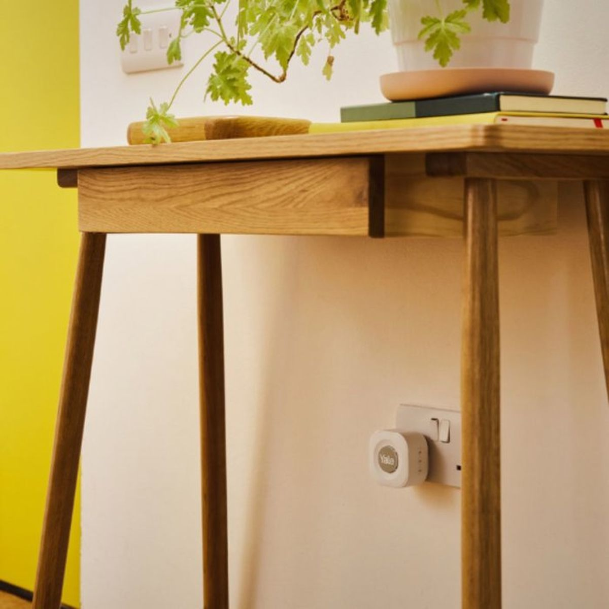 Una scrivania in legno con libri e una pianta in vaso sopra, e una presa smart inserita nel muro.