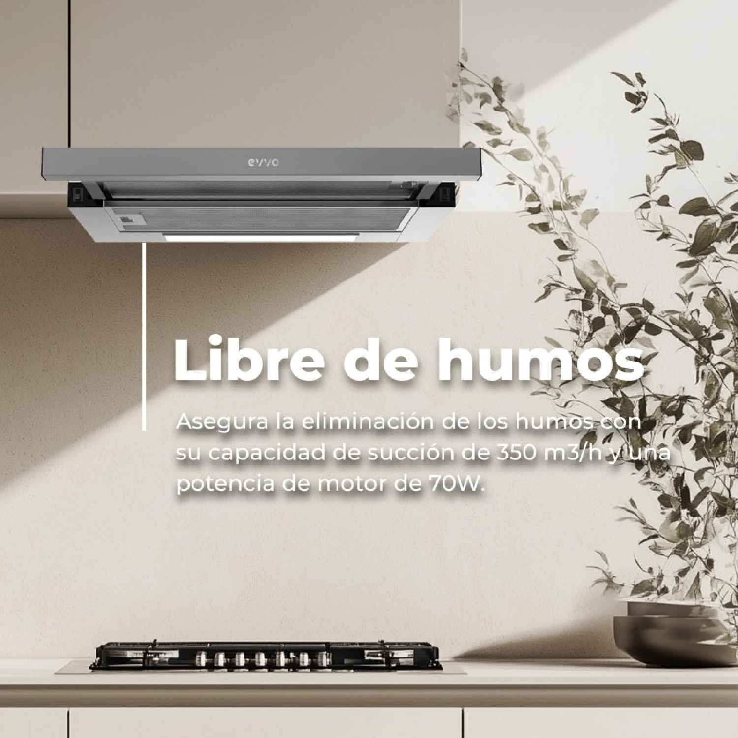 Campana extractora moderna sobre una placa en cocina luminosa con planta.