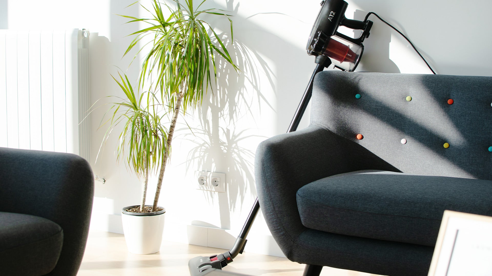 Un sillón gris, una planta de interior verde y una aspiradora en una habitación soleada.