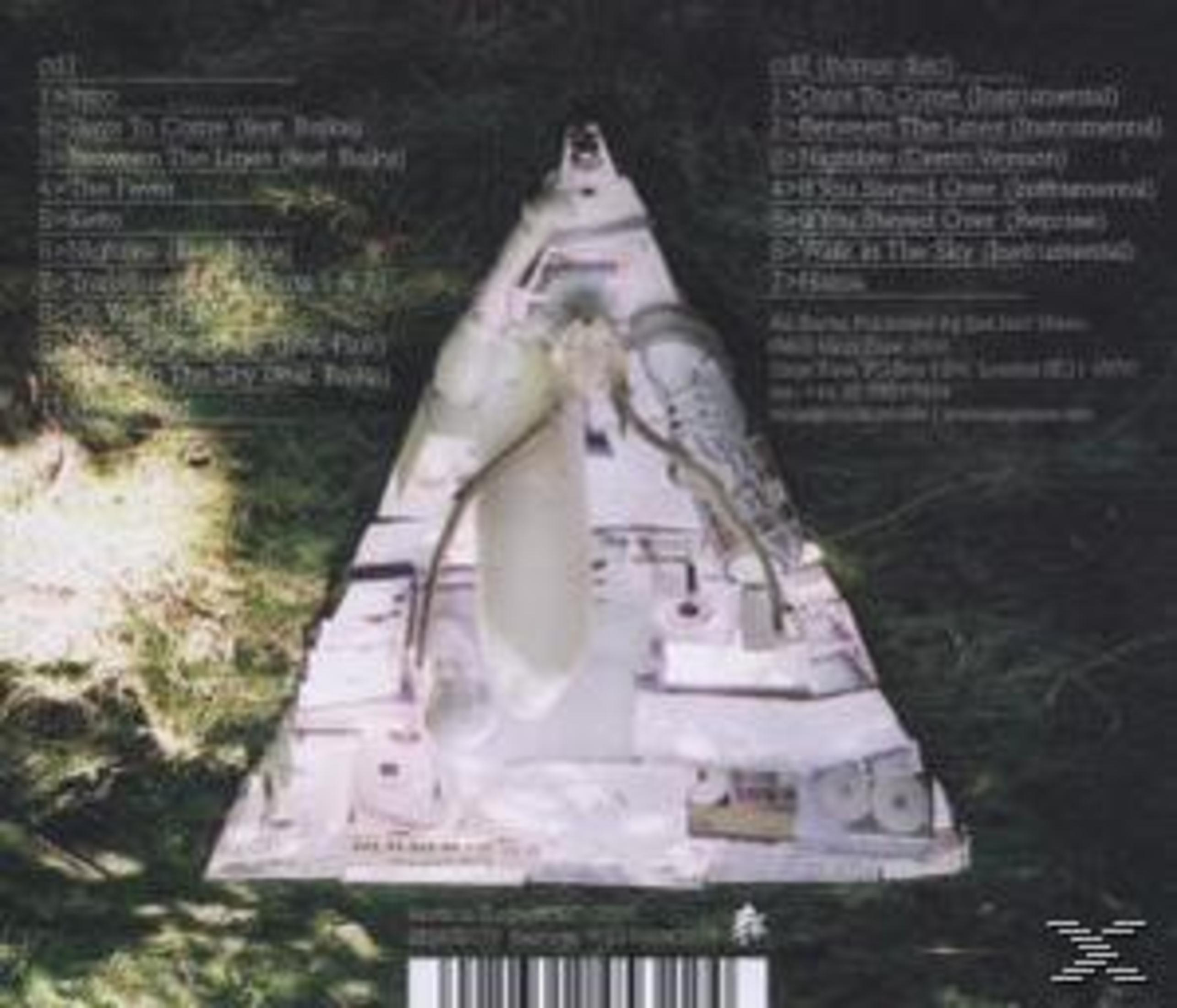 Eine weiße pyramidenförmige Skulptur mit elektronischen Teilen steht vor dunklem Laub, flankiert von Titellisten.