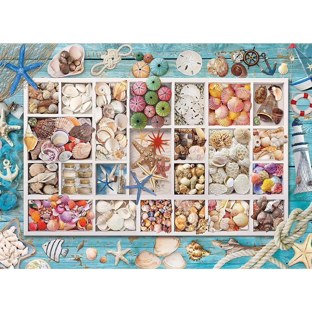 Ein Holzkasten gefüllt mit bunten Muscheln, Seesternen und Seeigeln vor blauem Holzhintergrund.