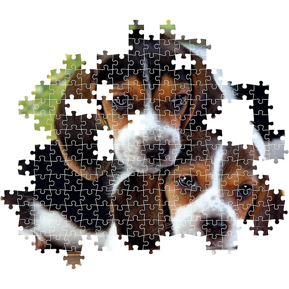 Een onvoltooide puzzel toont twee zwart-wit-bruine beagle-puppy's tegen een groene achtergrond.