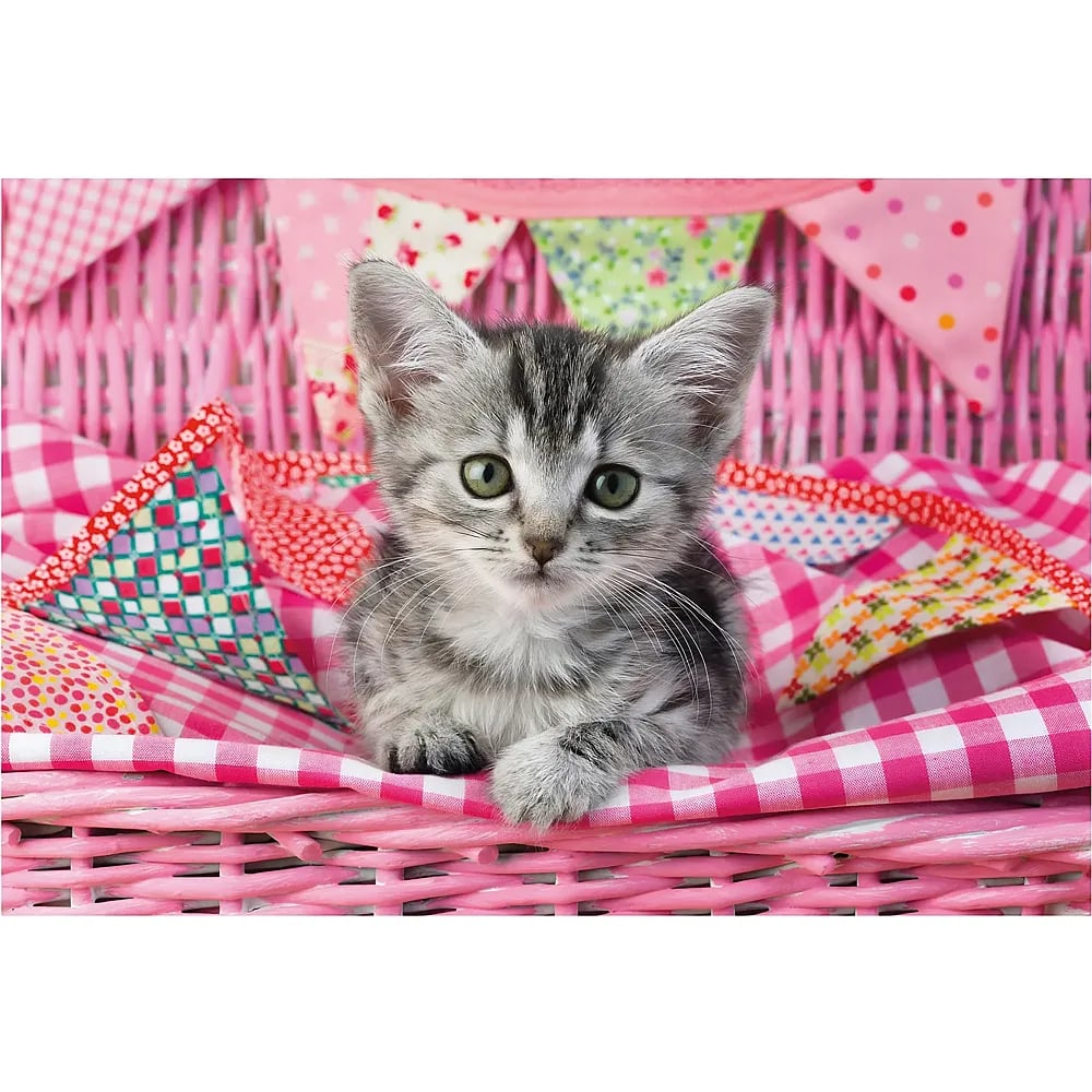 Ein kleiner graugestreifter Kater sitzt in einem pinken Weidenkorb mit bunten Stoffwimpeln.
