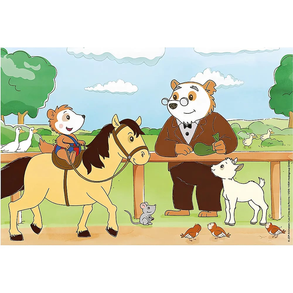 Un piccolo orso cavalca un pony vicino a una staccionata, dove un orso anziano, un topo, uccelli e una capra si riuniscono.