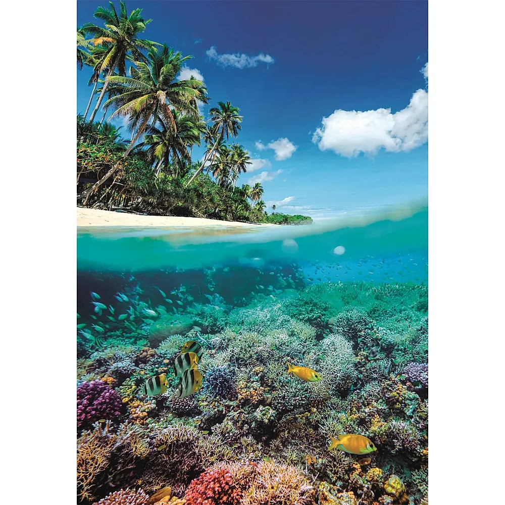Geteilte Ansicht einer tropischen Insel mit Palmen und einer bunten Unterwasserwelt mit Korallenriffen und Fischen.