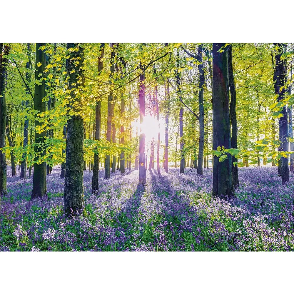 Sonnenlicht fällt durch einen üppig grünen Wald mit violetten Glockenblumen auf dem Boden.