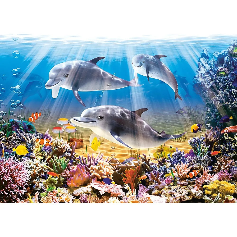 Drei Delfine schwimmen über einem lebendigen Korallenriff mit bunten Fischen und sonnigem blauen Wasser.