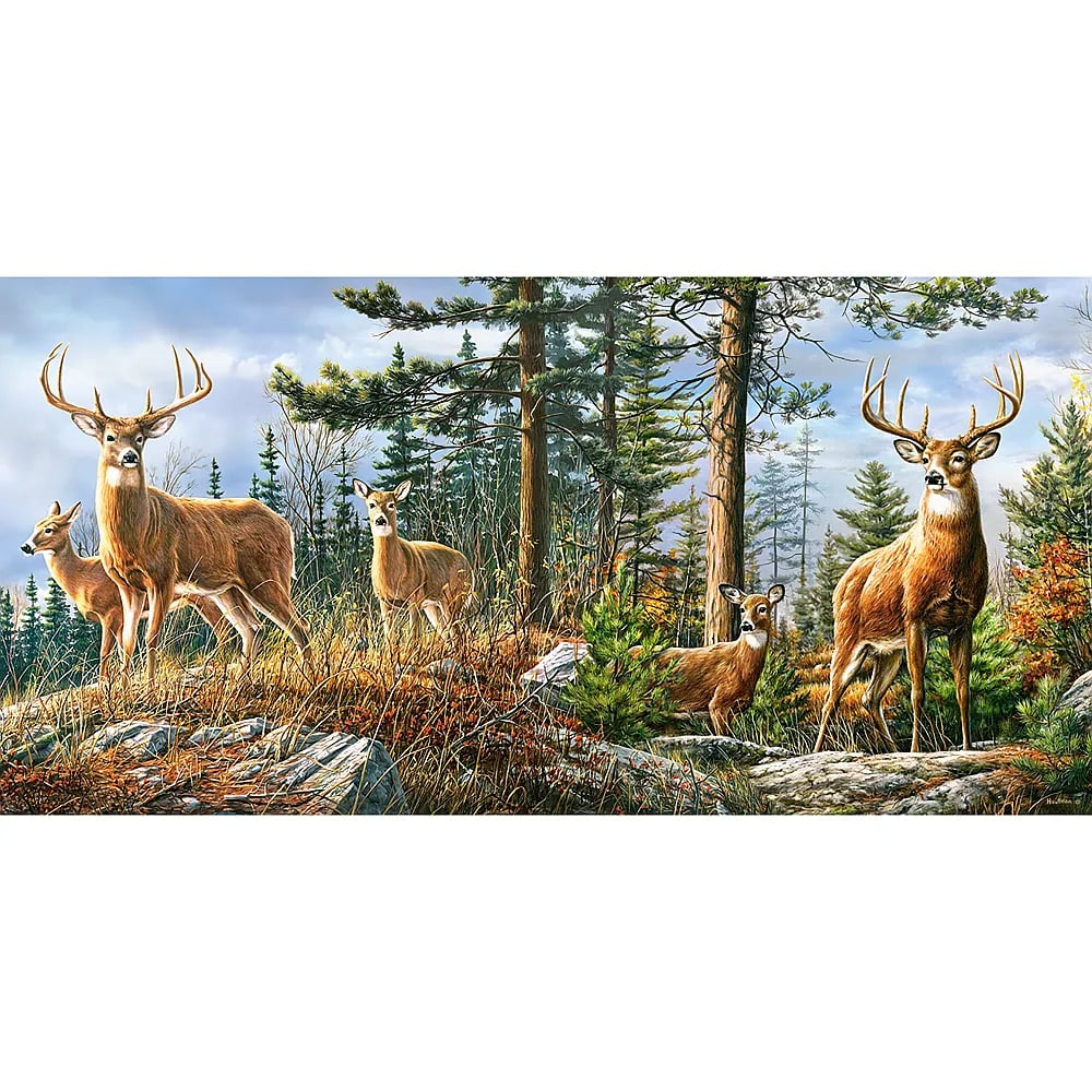 Fünf Rehe in einem Wald mit hohen Bäumen, felsigem Gelände und trockenem Gras unter einem wolkigen blauen Himmel.