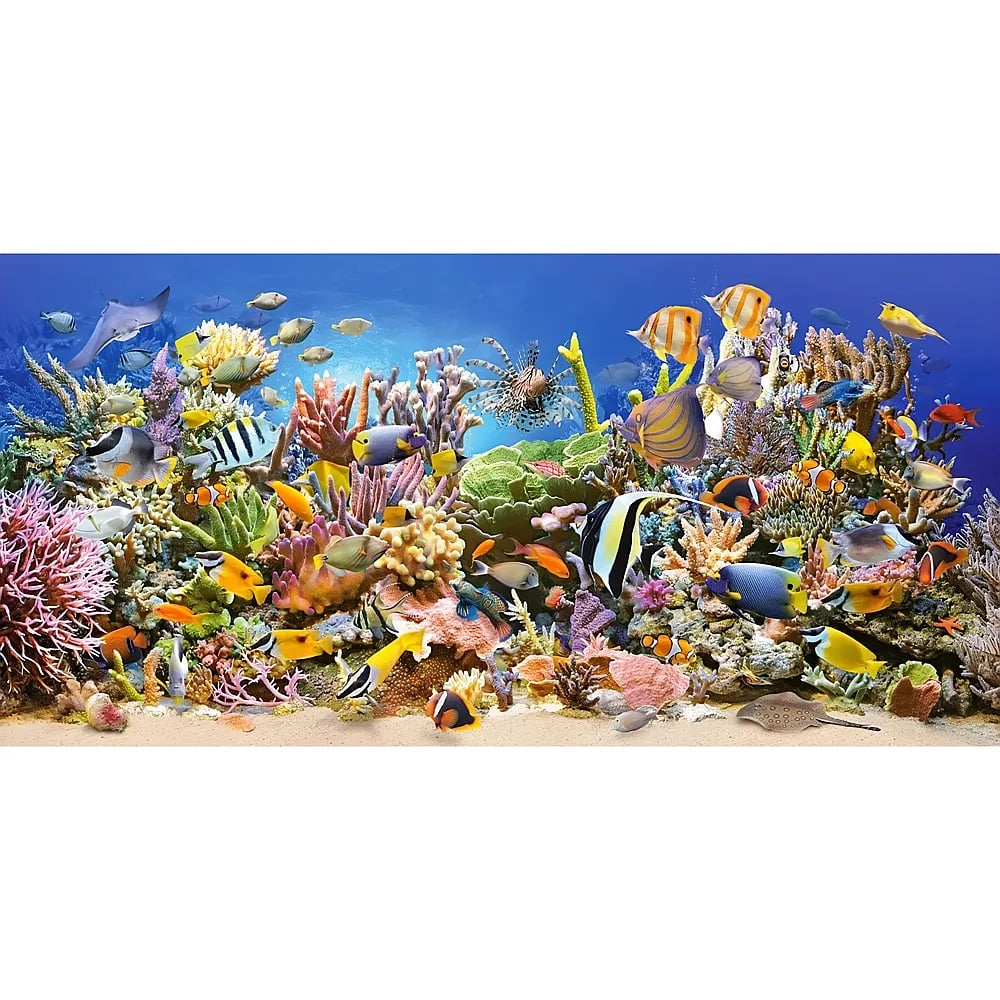 Ein lebendiges Korallenriff mit bunten Fischen zwischen vielfältigen Korallen im klaren blauen Ozean.