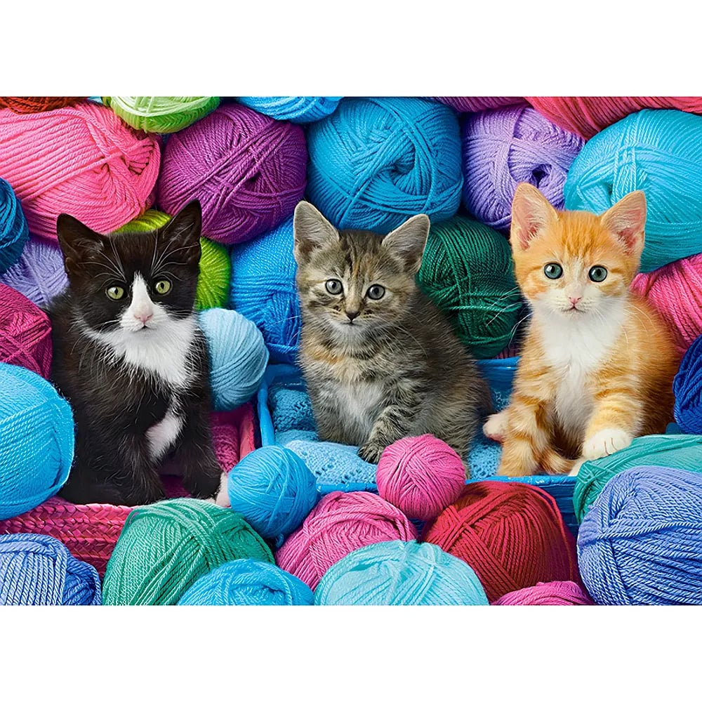 Drei kleine Katzen, eine schwarze, eine gestreifte und eine orangefarbene, sitzen inmitten bunter Wollknäuel.