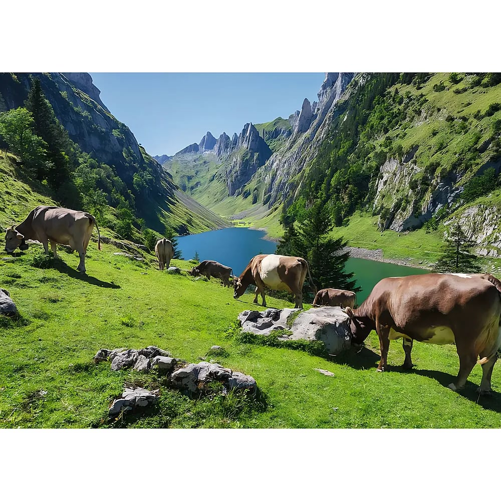 Des vaches paissent sur un pré vert devant un lac bleu dans une vallée montagneuse.