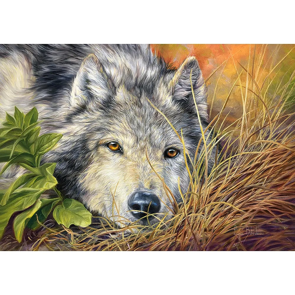 Ein Wolf mit grauenem Fell und bernsteinfarbenen Augen liegt versteckt im hohen Gras neben grünen Pflanzen.