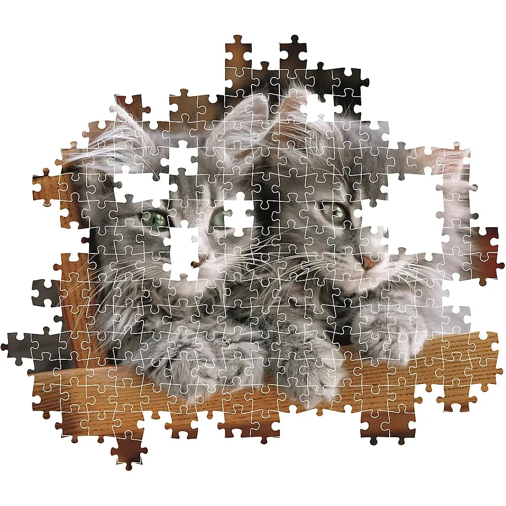 Ein Puzzle mit zwei flauschigen grauen Kätzchen, die zusammen auf einem Holzregal sitzen.