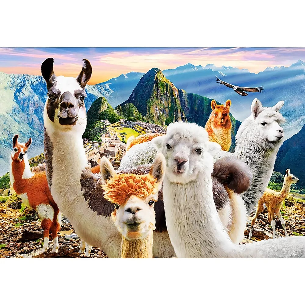 Llamas und Alpakas posieren vor den Anden und Machu Picchu.