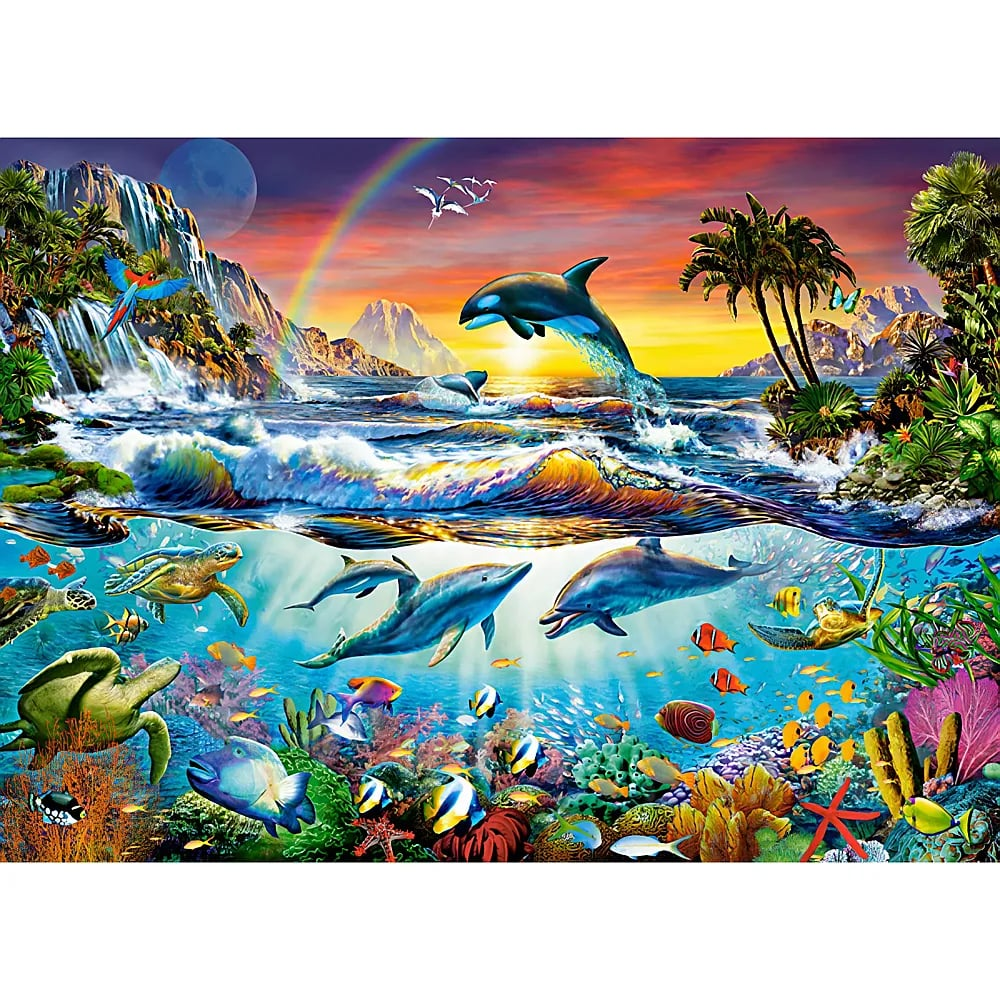 Eine geteilte Illustration einer tropischen Szene mit Delfinen, die oben springen und unter Wasser schwimmen.