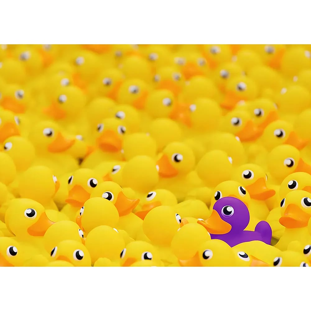 Un mar de patitos de goma amarillos con un patito morado abajo a la derecha.