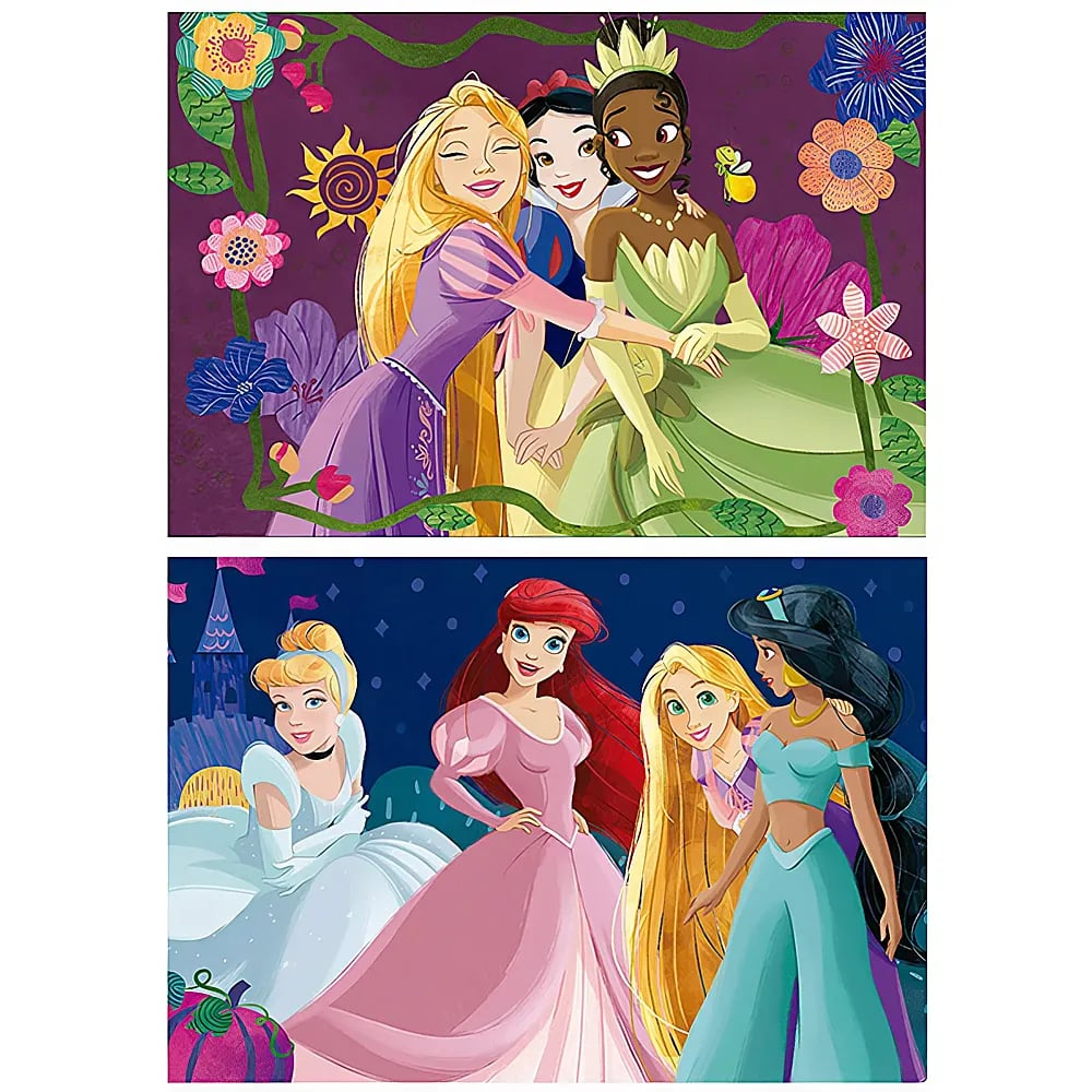 Zwei Szenen mit Disney-Prinzessinnen vor blumigem Hintergrund und dunkler Nacht.