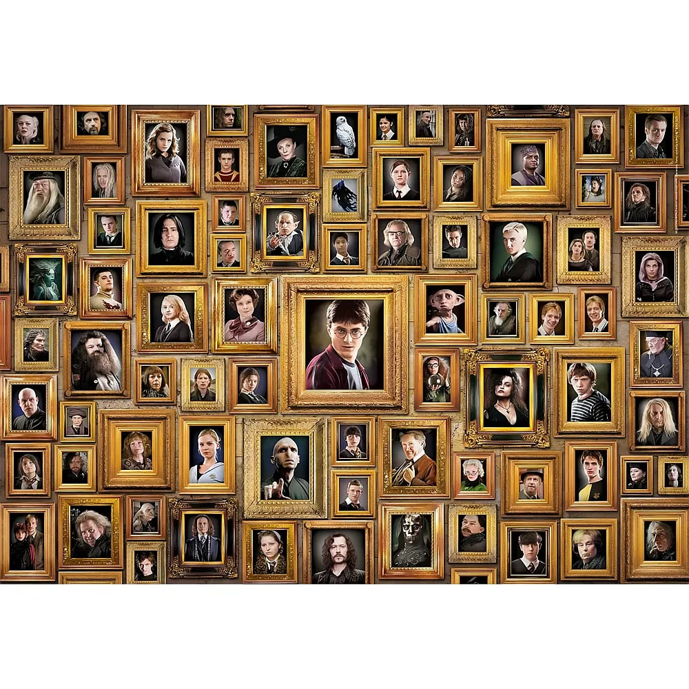 Un collage de muchos marcos dorados con personajes de Harry Potter.