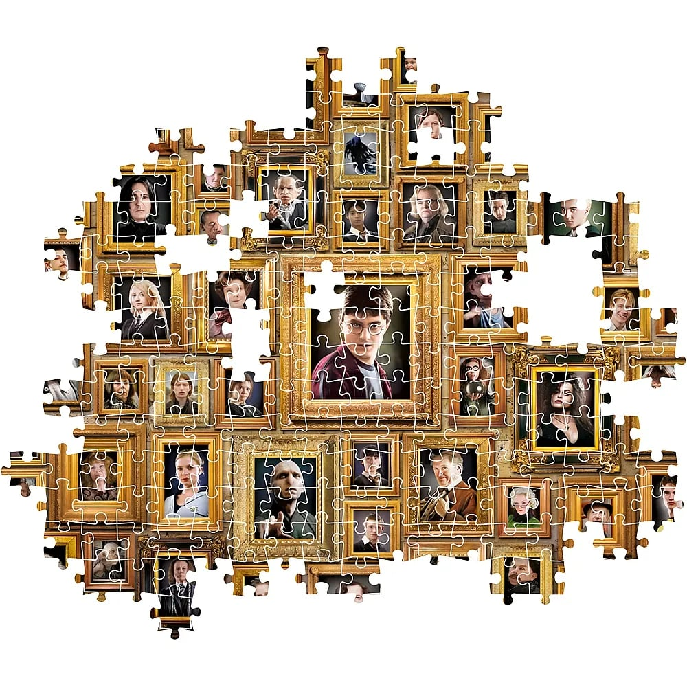 Un rompecabezas con retratos enmarcados de personajes de Harry Potter, con Harry Potter en el centro.