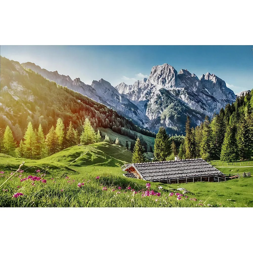 Un chalet en bois dans un pré vert avec des fleurs roses, devant des montagnes majestueuses et des pentes boisées.