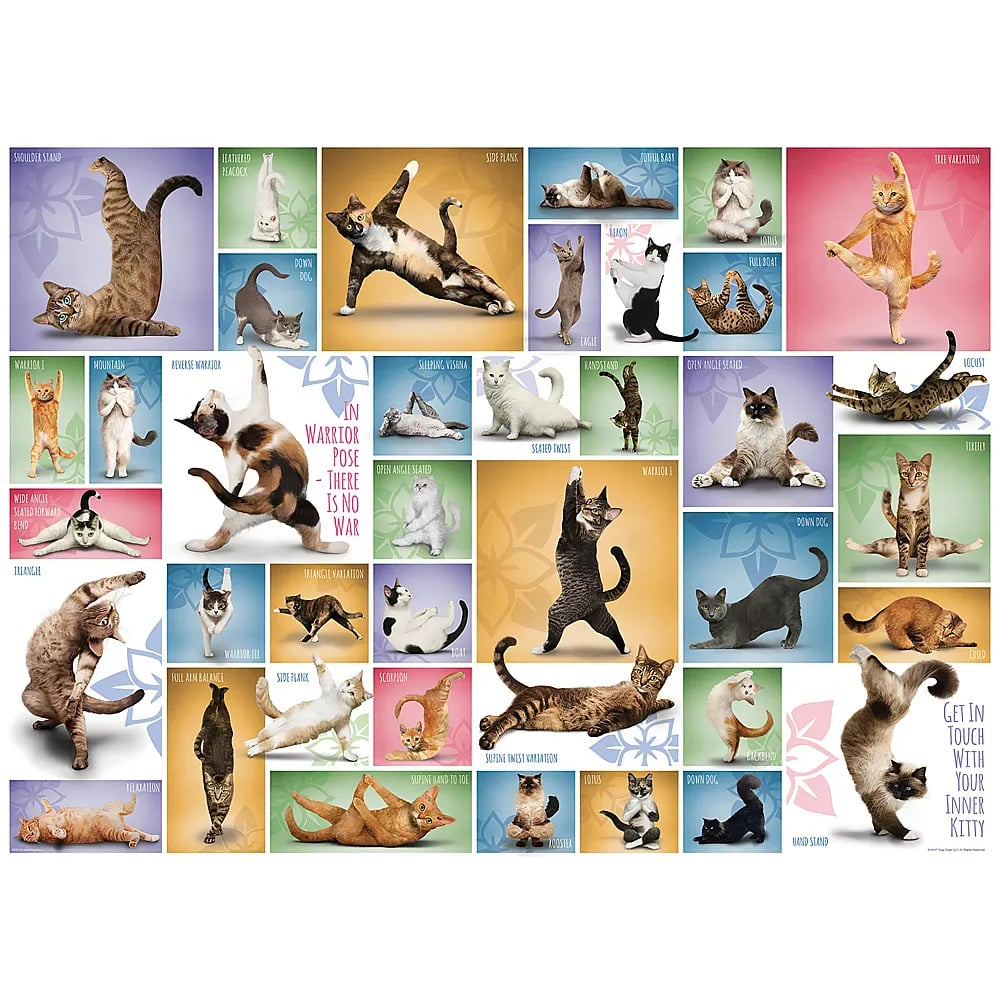 Poster mit verschiedenen Katzen in Yoga-Posen und beschrifteten Namen der Posen.