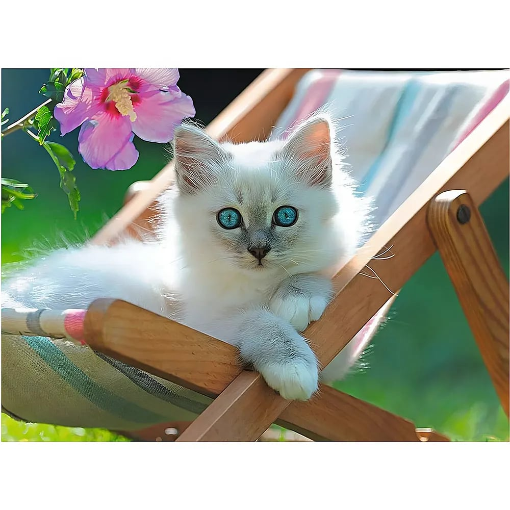 Ein flauschiges weiBes Kätzchen mit leuchtend blauen Augen liegt in einem kleinen Holzliegestuhl neben einer rosa Blume.