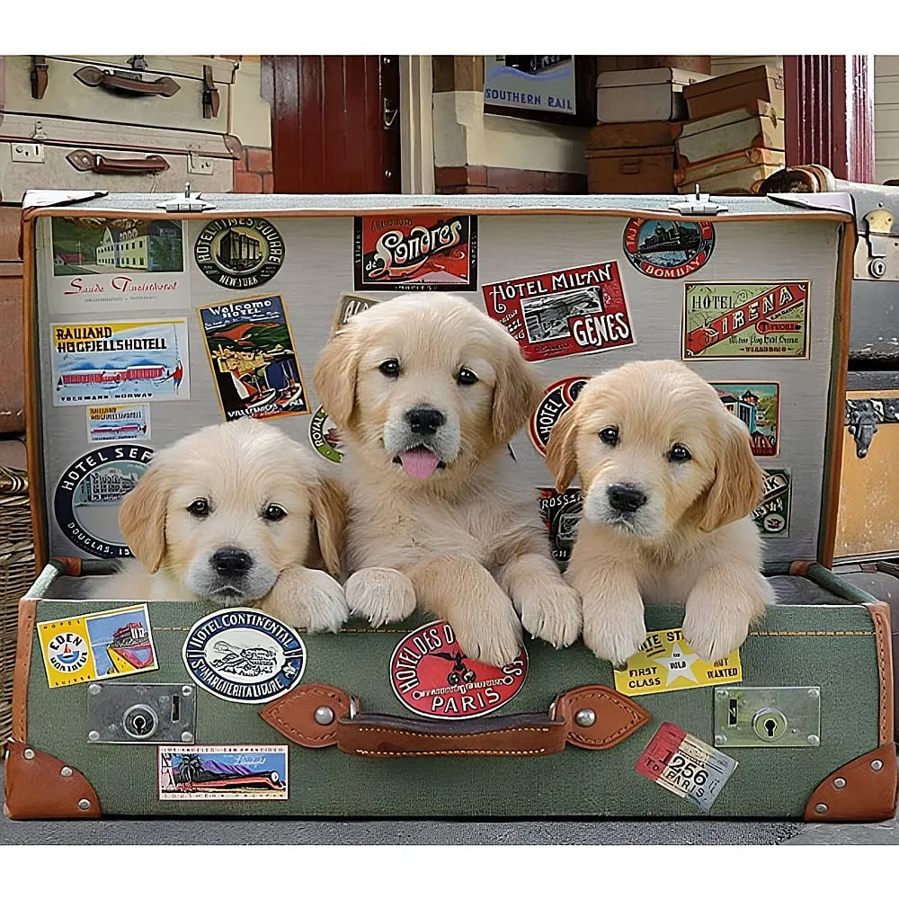 Tres adorables cachorros de golden retriever se sientan dentro de una maleta verde vintage.