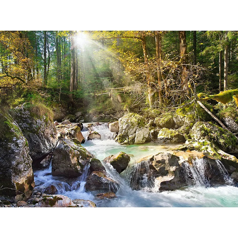 Sonniges Licht bricht durch grüne Bäume auf einen klaren Bach mit moosigen Felsen.