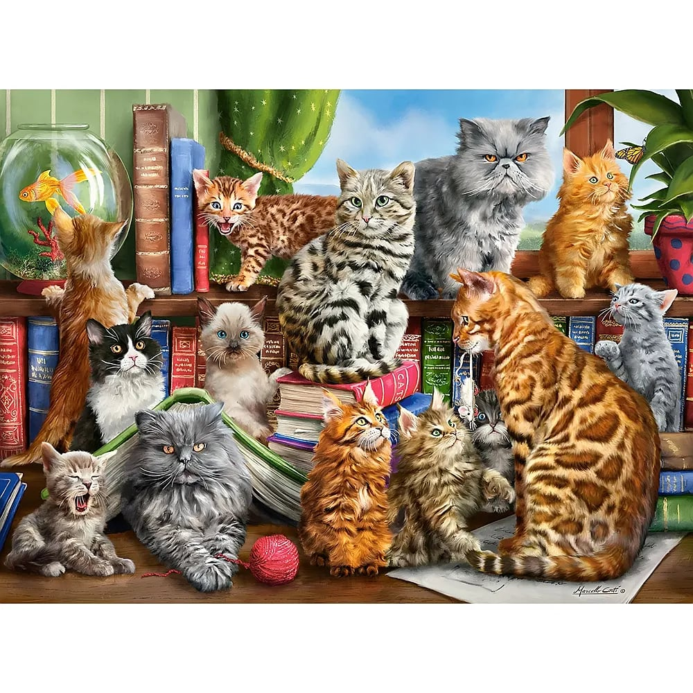 Viele bunte Katzen verschiedener Rassen posieren zusammen zwischen Büchern und einem Goldfischglas.