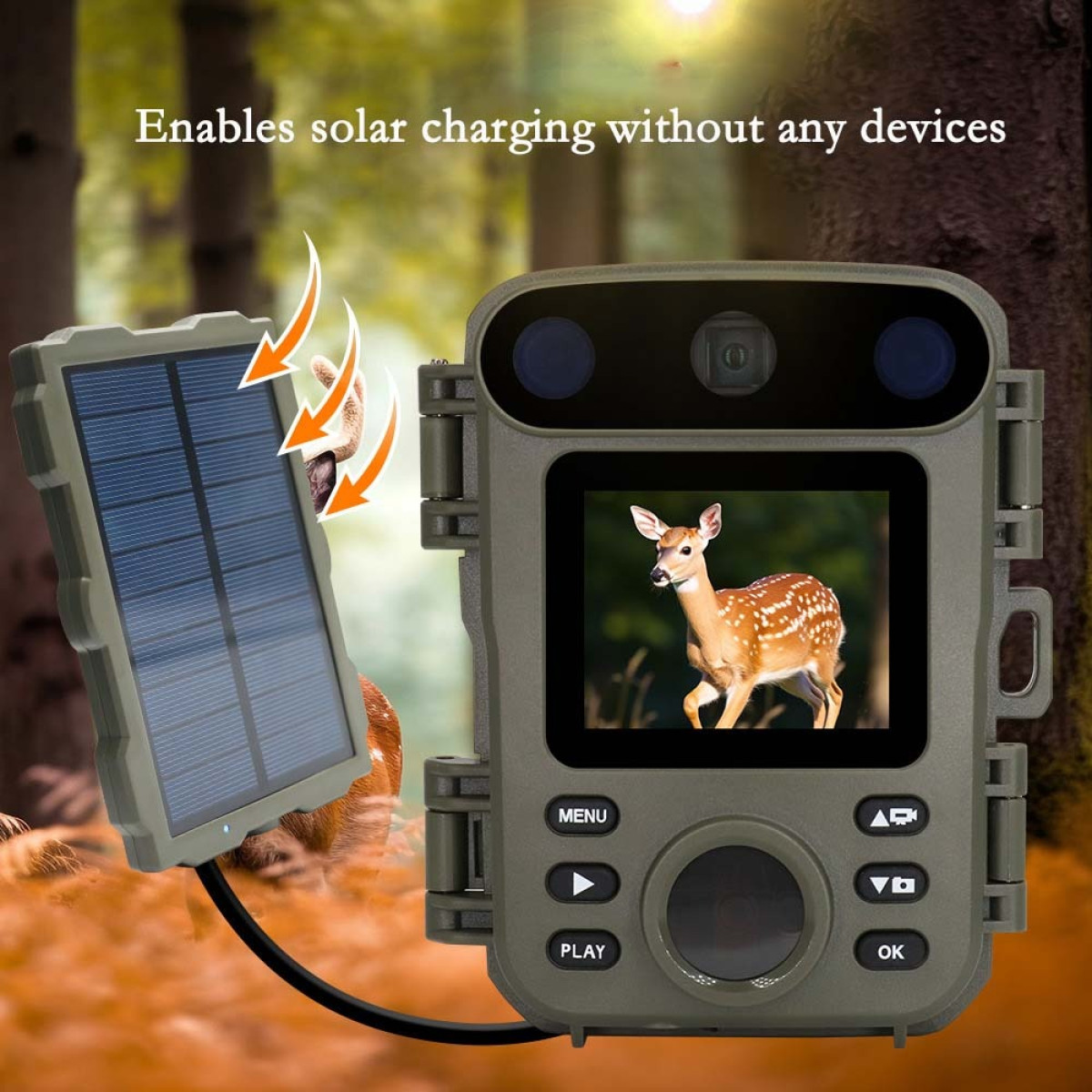 Grüne Wildkamera mit Solarpanel und Display, das ein Rehkitz im Wald zeigt, vor waldartigem Hintergrund.
