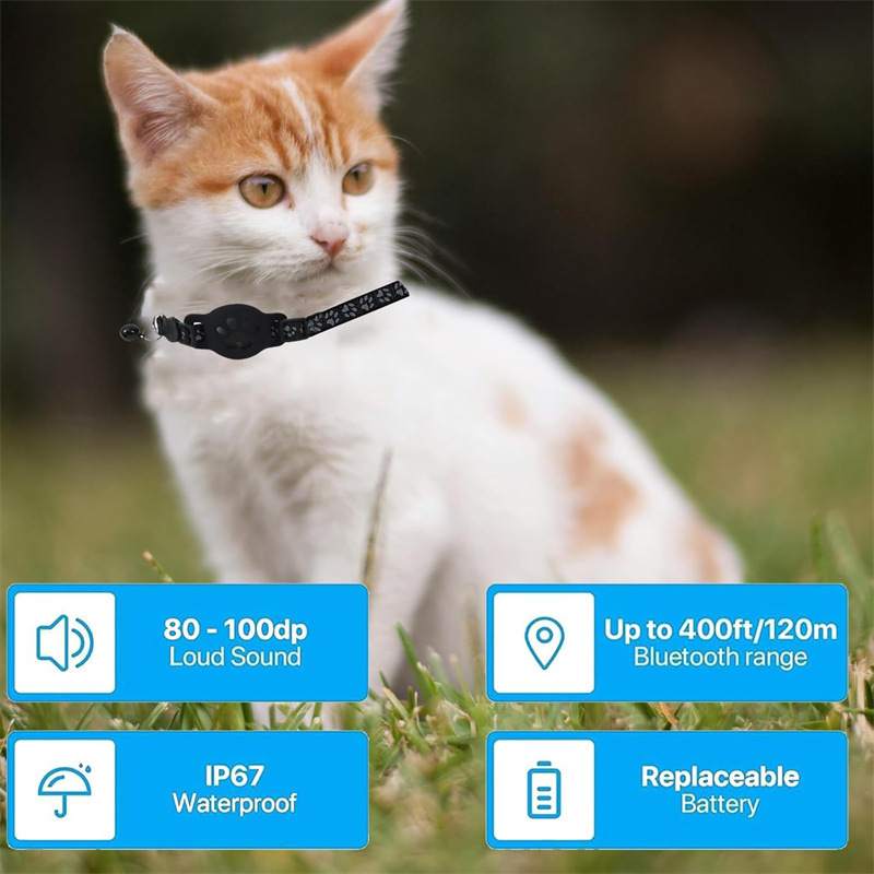 Eine weiß-orangefarbene Katze trägt ein schwarzes Halsband im Freien mit vier blauen Infoboxen unten.