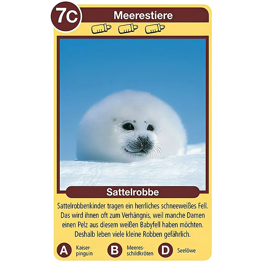 Ein flauschiges weißes Robbenbaby ruht auf Schnee unter blauem Himmel auf einer Lernkarte.