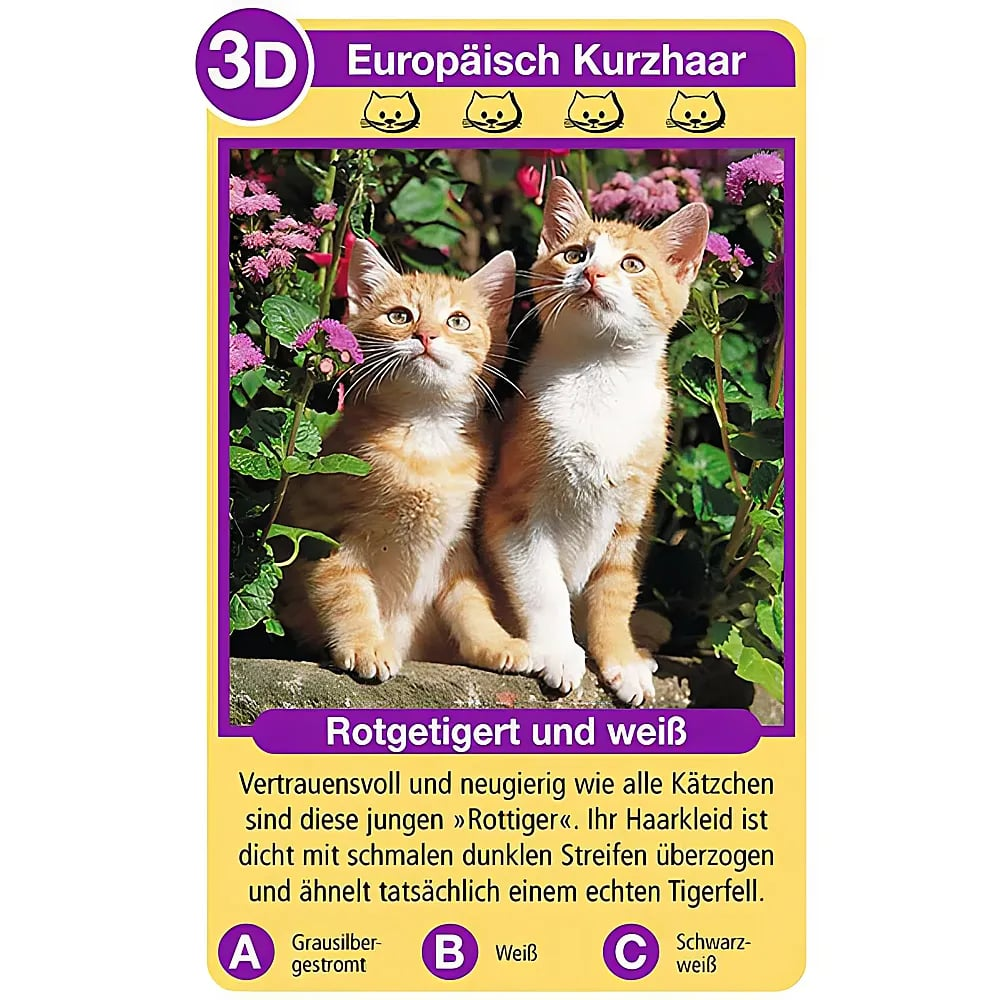 Zwei kleine rot-weiße Katzen sitzen im Garten zwischen grünen Pflanzen und rosa Blumen.