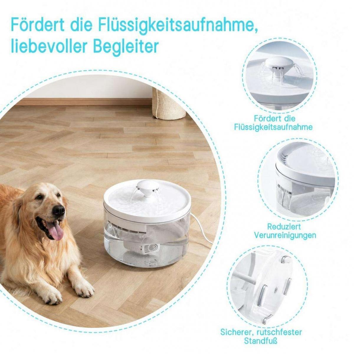 Ein glücklicher Hund neben einem elektrischen Haustierbrunnen auf einem Holzboden.
