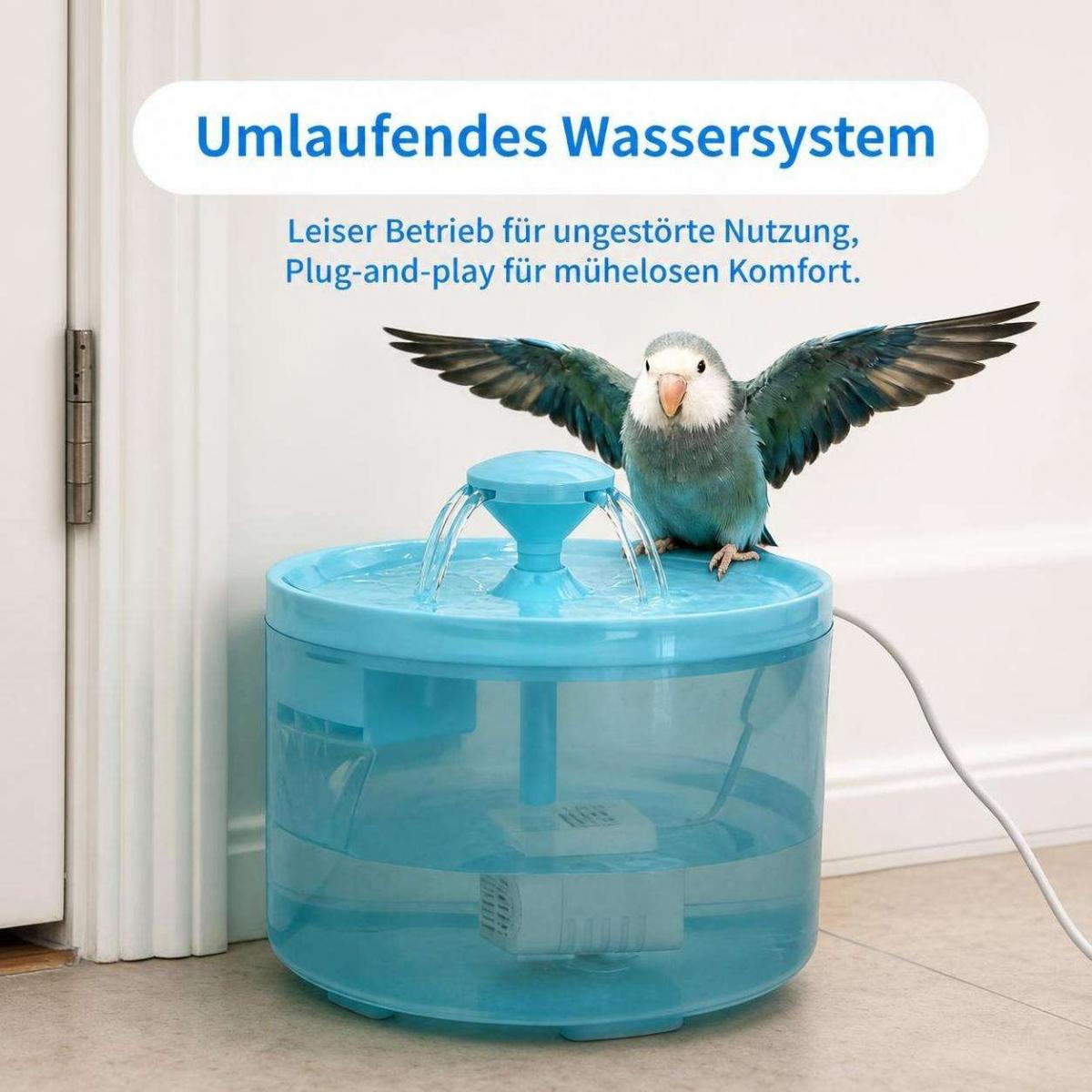 Ein blauer Vogel sitzt mit ausgebreiteten Flügeln auf einer blauen elektrischen Wasserquelle für Haustiere.