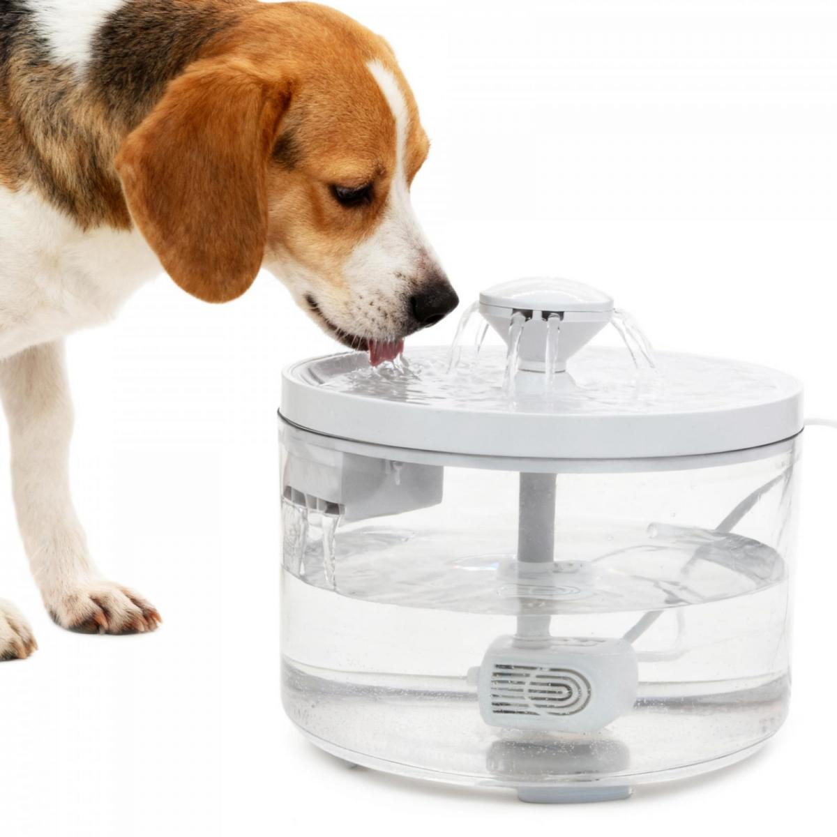 Ein Beagle trinkt Wasser aus einem weißen, runden elektrischen Wasserspender vor weißem Hintergrund.
