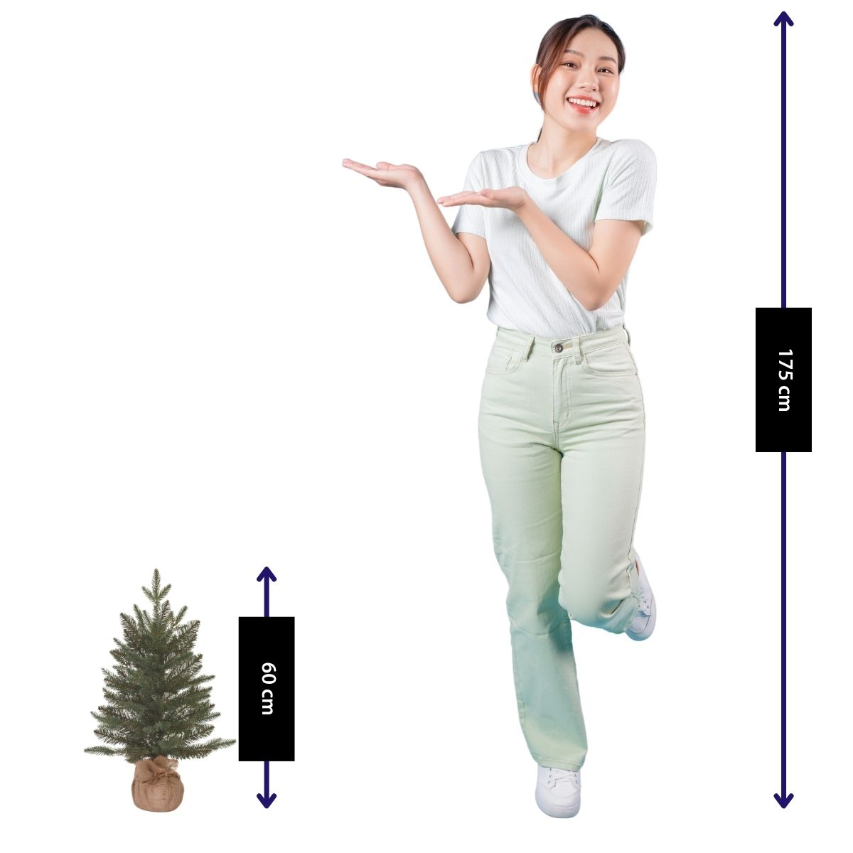 A smiling woman poses next to a 60 cm small Christmas tree, compared to her 175 cm height on a white background.