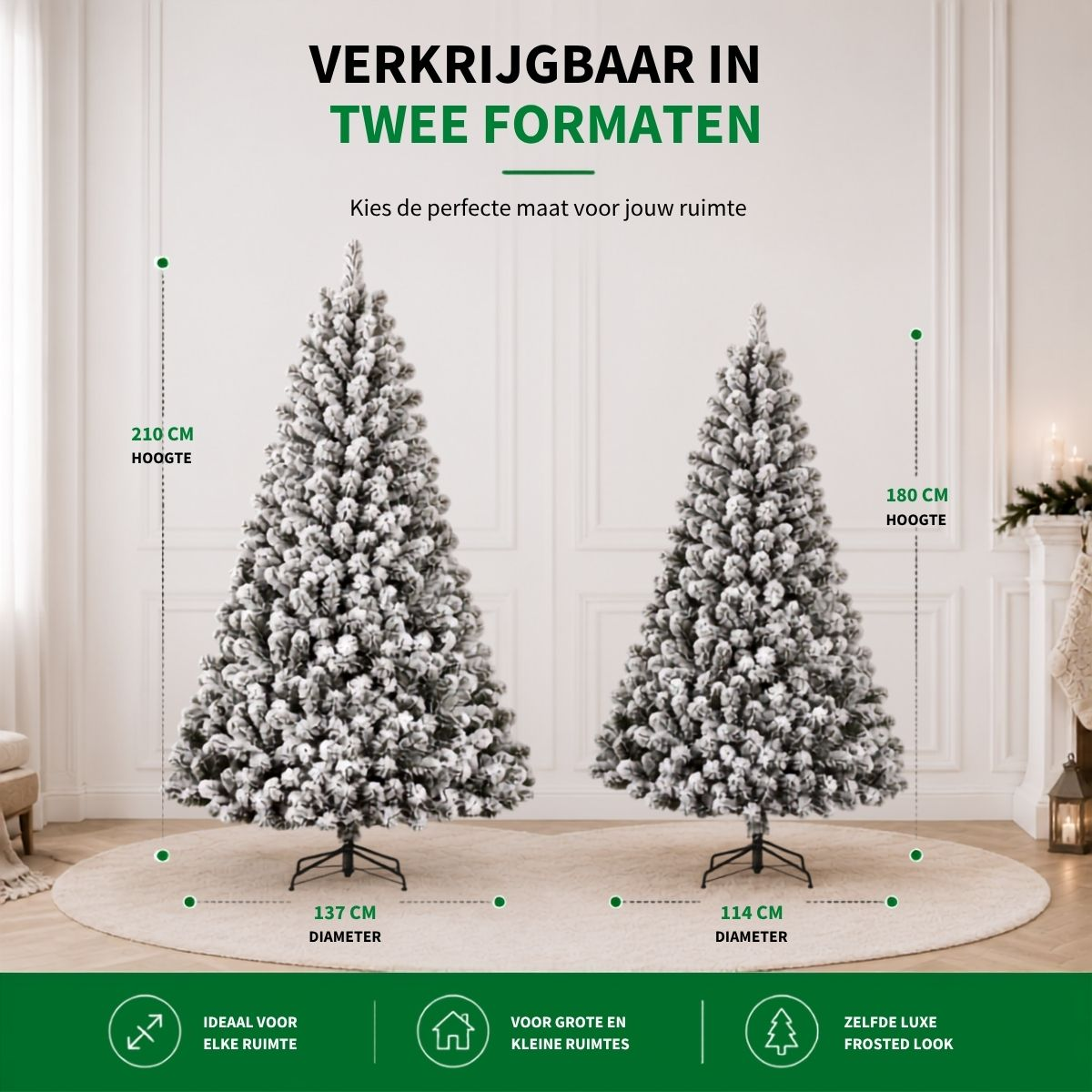Two frosted artificial Christmas trees displayed indoors, showing heights of 210 cm and 180 cm with dimensions.