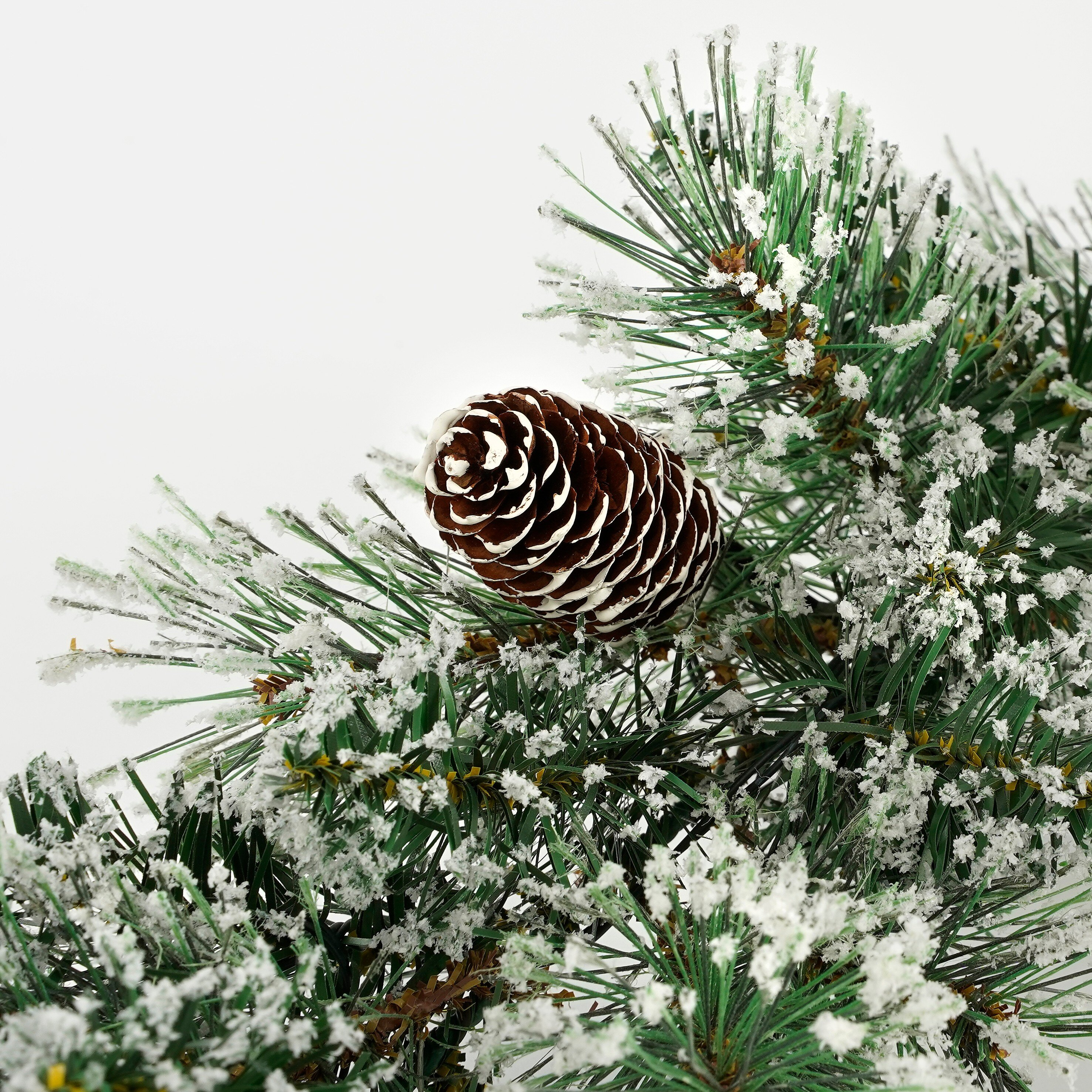 Een besneeuwde dennentak met een bruine dennenappel tegen een witte achtergrond.