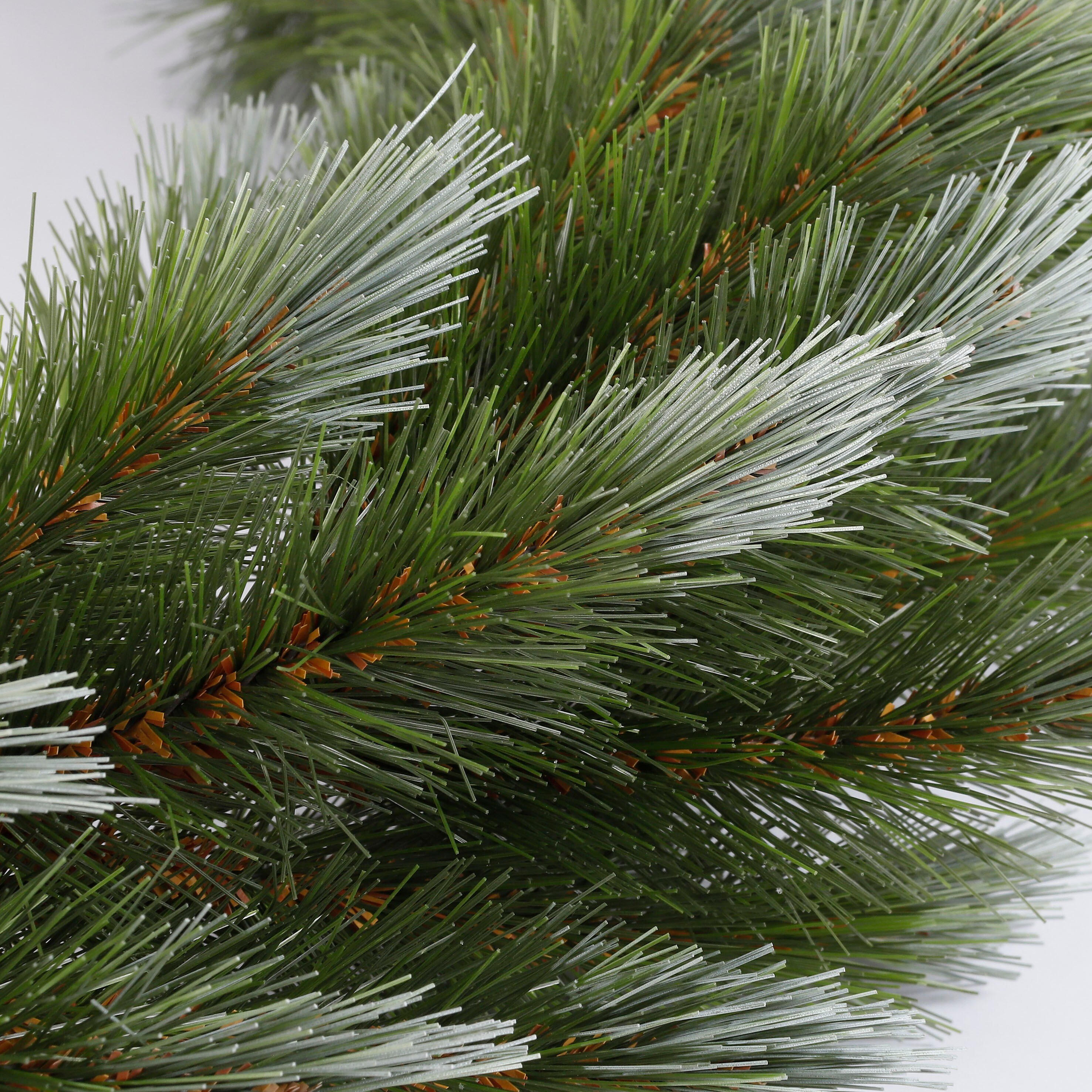 Gros plan de branches de pin vertes denses avec des tiges brunes.