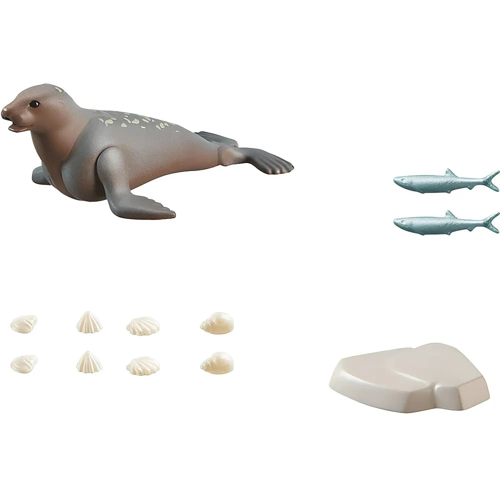 Spielzeugrobbe mit zwei Fischen, acht kleinen Muscheln und einem Eisscholle auf weißem Hintergrund.