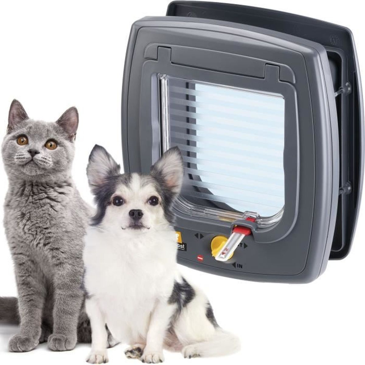Eine graue Katzenklappe mit einer grauen Katze und einem kleinen Hund davor auf weißem Grund.