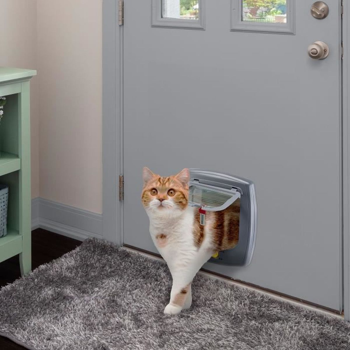 Eine weiß-orange gestreifte Katze geht durch eine Katzenklappe in einer grauen Tür.