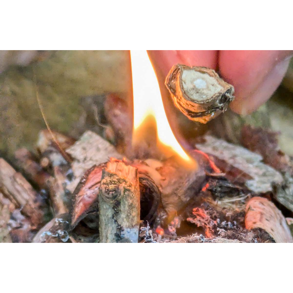Eine Hand hält ein Holzstück über ein kleines Feuer auf dem Waldboden.
